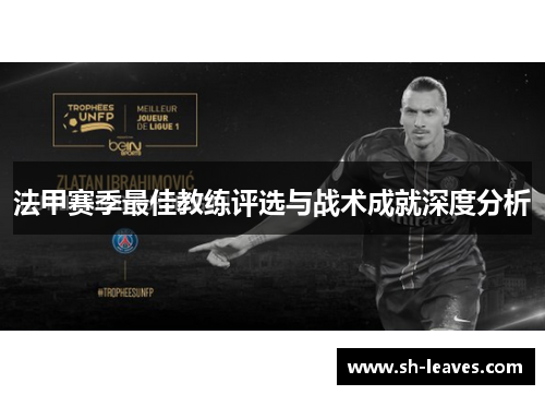 法甲赛季最佳教练评选与战术成就深度分析