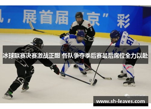 冰球联赛决赛激战正酣 各队争夺季后赛最后席位全力以赴