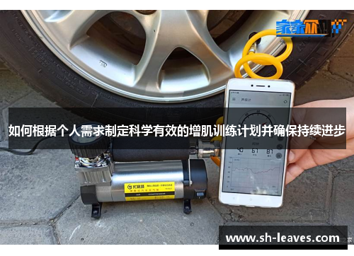 如何根据个人需求制定科学有效的增肌训练计划并确保持续进步