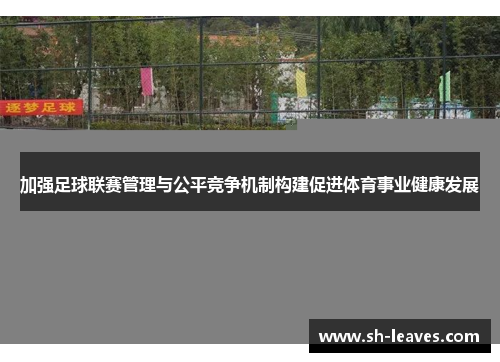 加强足球联赛管理与公平竞争机制构建促进体育事业健康发展