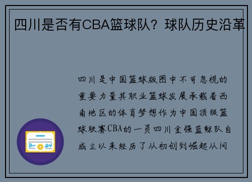 四川是否有CBA篮球队？球队历史沿革